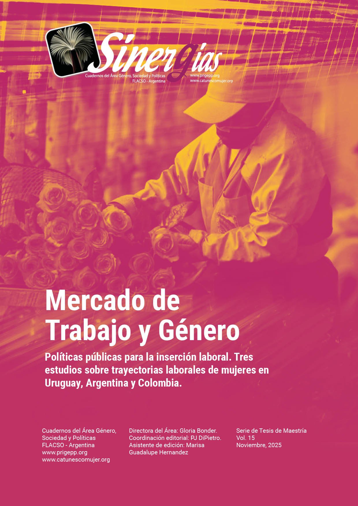 Sinergias Vol.14